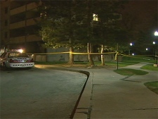 Police are investigating after a 20-year-old woman was sexually assaulted near York University Tuesday night.