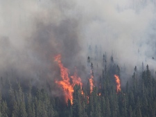 A forest fire burns near Timmins, Ont., on Thursday, May 24, 2012. (Ontario Ministry of Natural Resources-Christine Rosche)