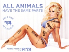 Canadian actress Pamela Anderson is shown in a handout photo from PETA (People for the Ethical Treatment of Animals).