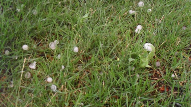 Brampton hail