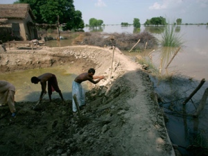 In this picture taken on Saturday, Aug. 21, 2010, villagers work to reinforce the embankment to avoid flood water enter into their Hamdani Legari village near Moro, Pakistan. (AP Photo/Shakil Adil)