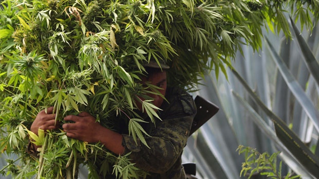Drug war Mexico 