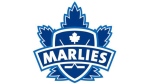 The Toronto Marlies logo pictured in this file photo. 