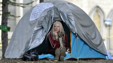 Protester at Occupy Toronto camp in St. James Park