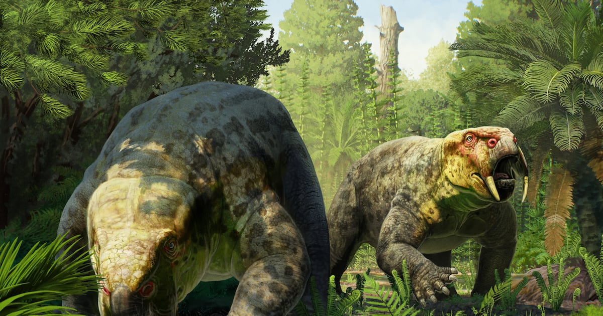 Photo: CP24 New species life reconstruction. (Gabriel Ugueto)