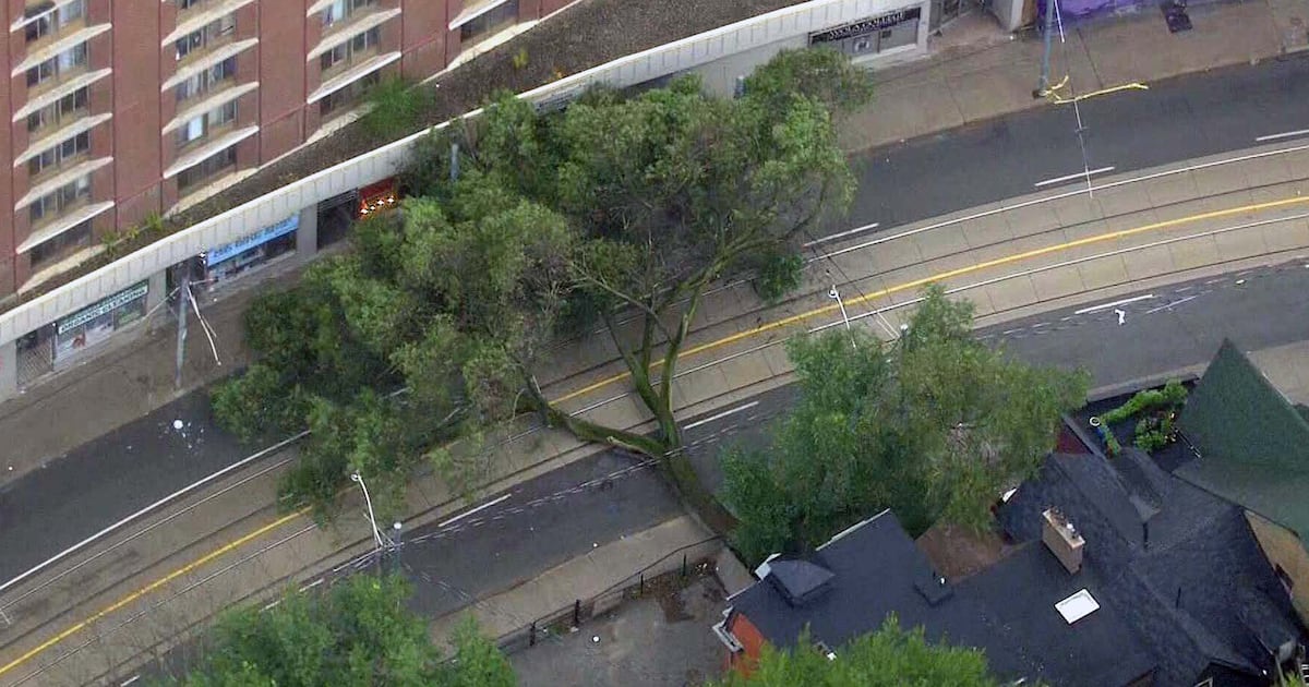 Downed Tree Topples Power Lines, Streetcar Wires in Toronto's Downtown Core