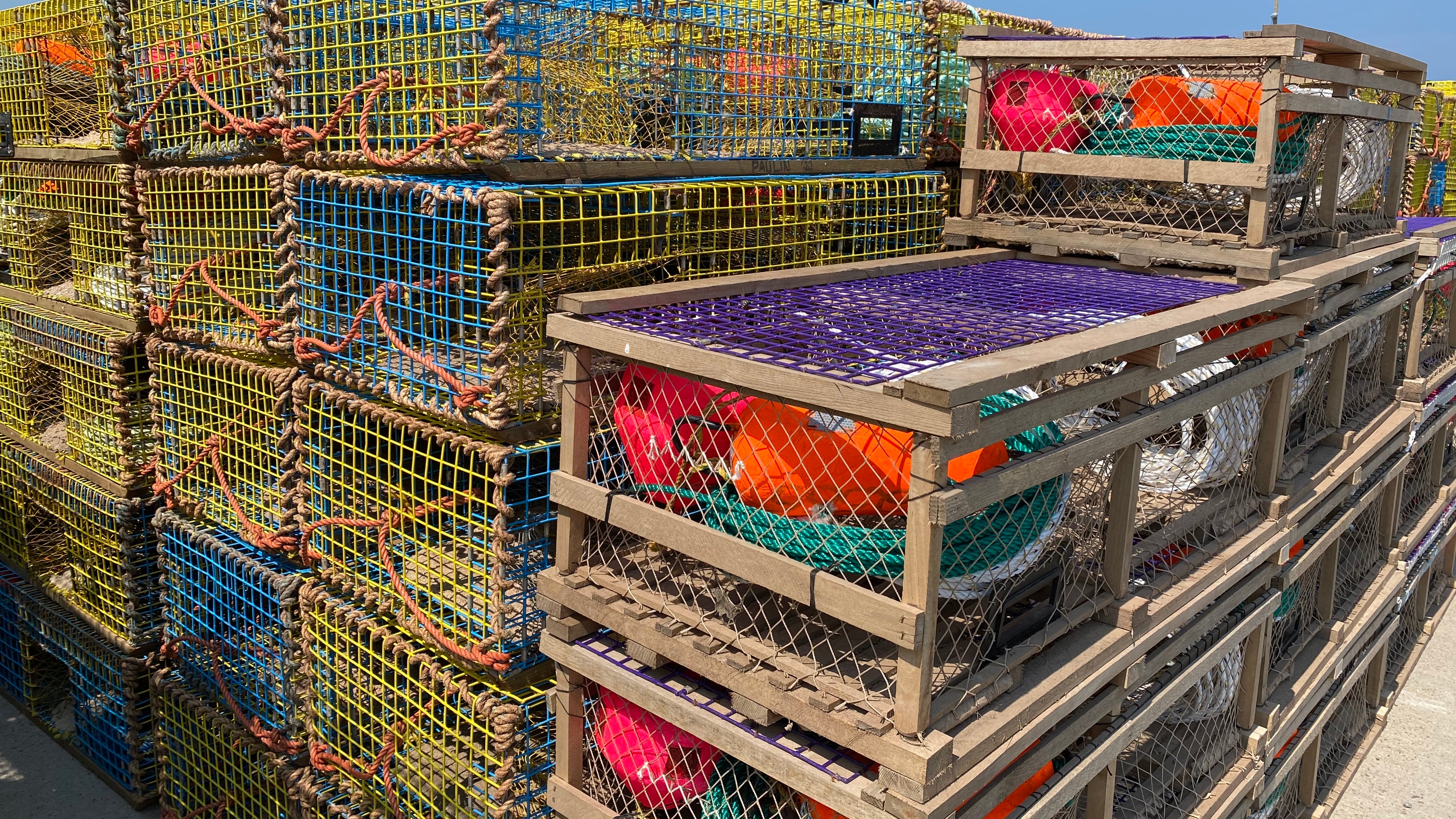 Lobster traps are pictured on the Aboiteau Wharf in Cap-Acadie, N.B. (CTV Atlantic / Derek Haggett)