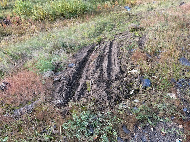 Tire tracks are pictured following a head-on collision just outside Moncton, N.B. (Derek Haggett/CTV Atlantic)
