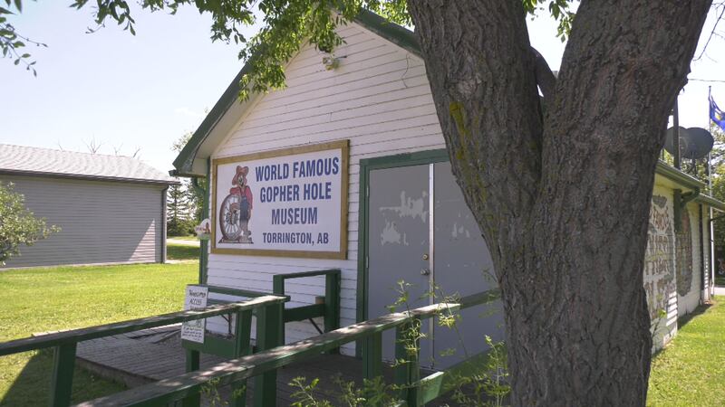 The World Famous Gopher Hole Museum in Torrington, Alta., on July 30, 2025. (Marek Tkach / CTV News Edmonton)