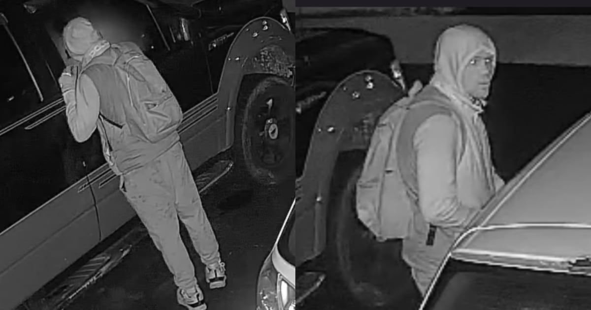Suspect wanted after 32 vehicles broken into in Mississauga