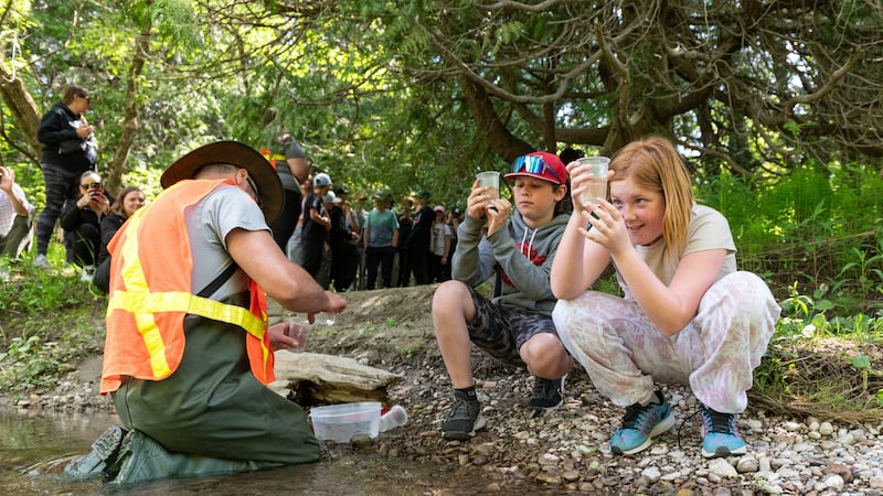 'Bring them back': Students help restore Atlantic salmon population in Lake Ontario