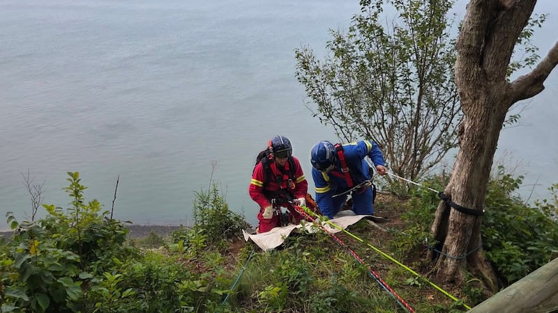 Members of the Kings County Rope Rescue Team respond to Blomidon Provincial Park to rescue a dog on Aug. 16, 2026. (Canning and District Volunteer Fire Department/Facebook)