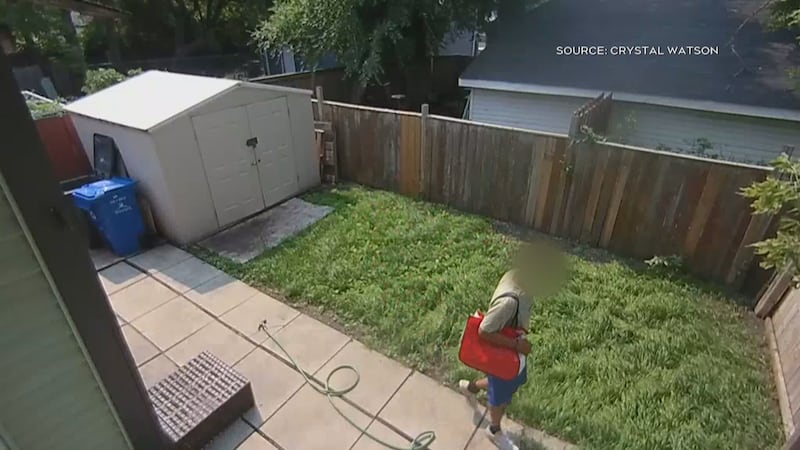 Winnipeg family shaken up over police response to backyard intruder