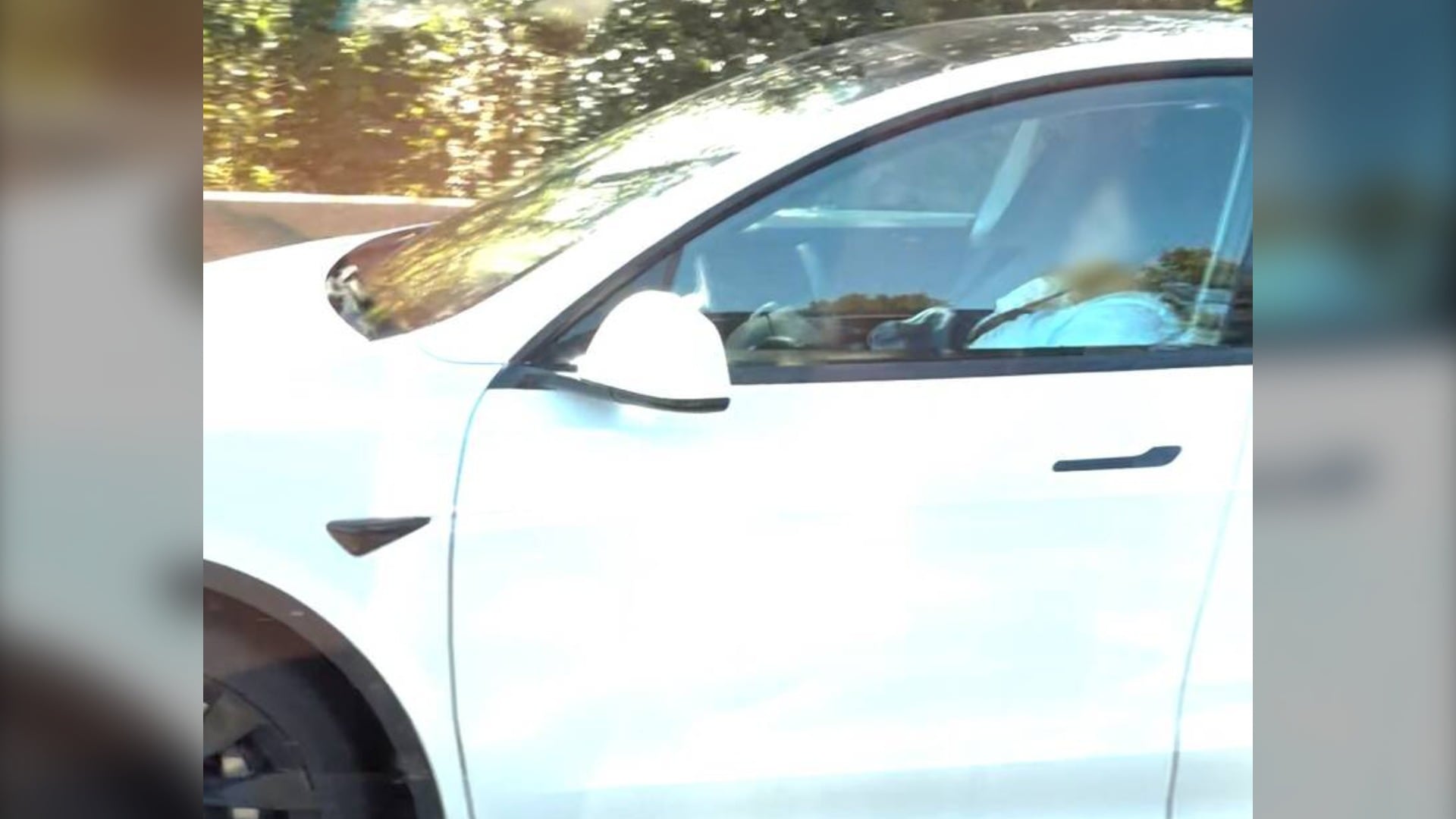 Tesla driver sleeping