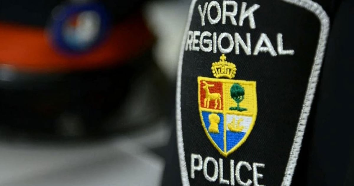 4 suspects part of ‘violent auto theft group’ operating in GTA facing ...