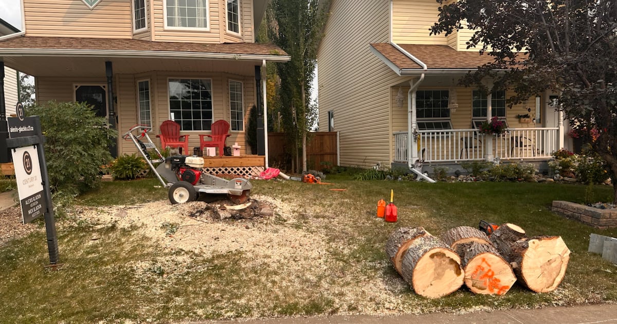 Overpayment scam leads to tree-chopping mishap