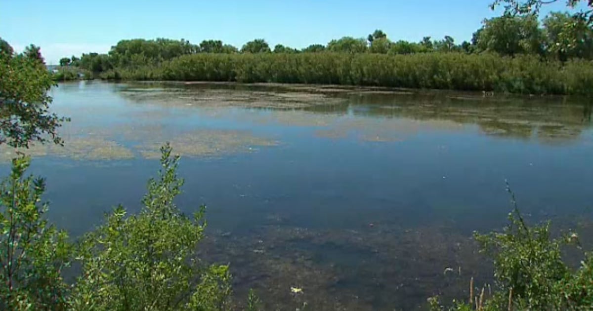 Einsatzkräfte reagieren auf Dieselverschmutzung am Mimico Creek in ...