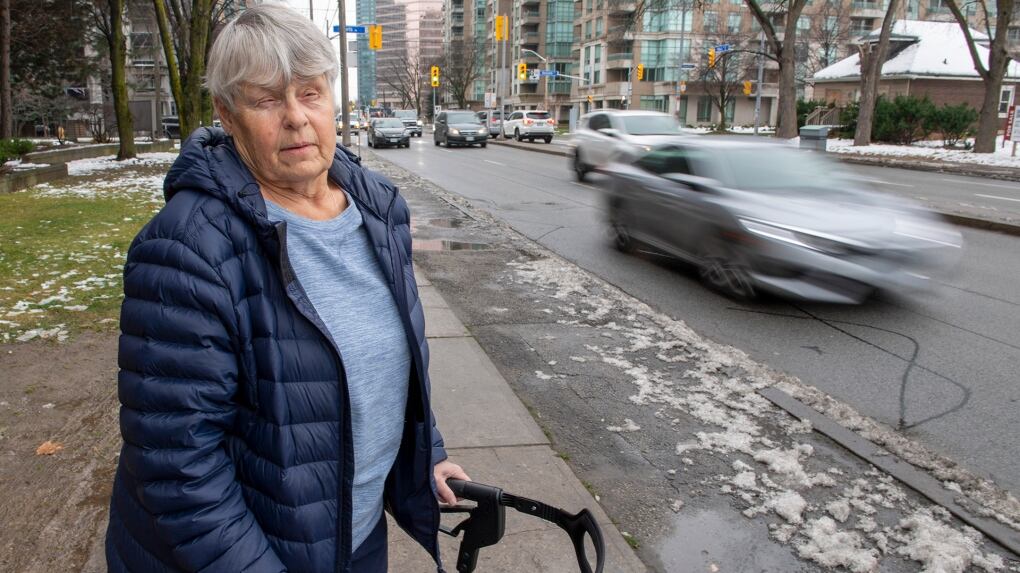 Catherine Riddell North York Van Attack victim says Minassian knew difference between ...