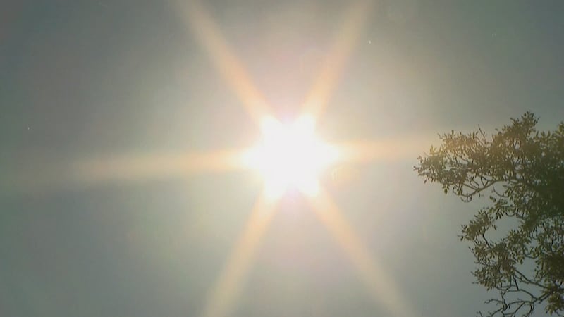 Heat dome building over U.S. to push scorching temperatures into Canada