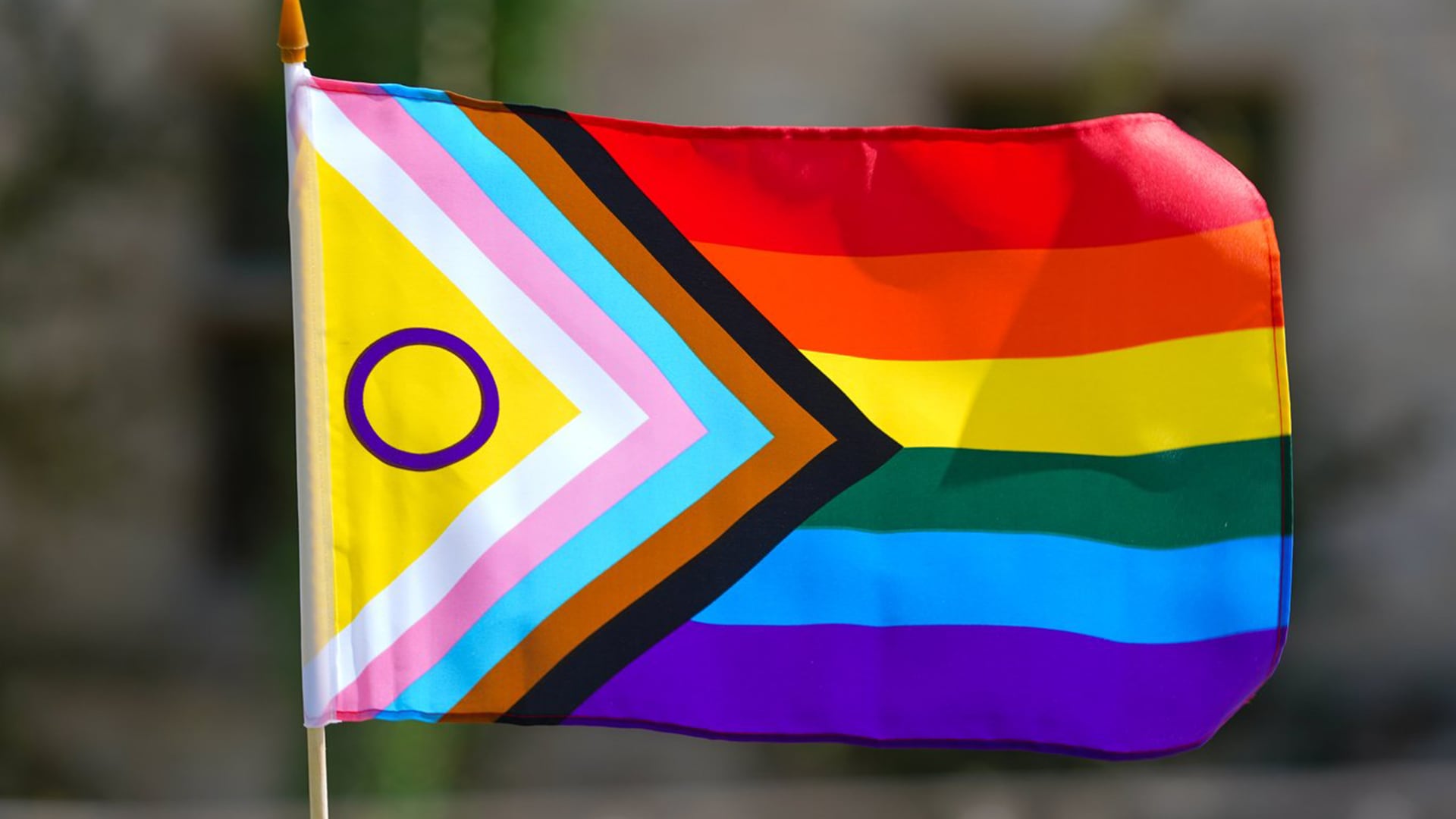 Two suspects accused of ripping down, attempting to burn Pride flag at school in Markham
