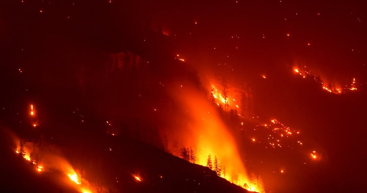Wildfires expose evacuation gaps for Canadians with disabilities, advocates say