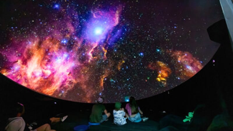 The Ontario Science Centre has a new temporary home at the Harbourfront Centre. Here’s what you need to know
