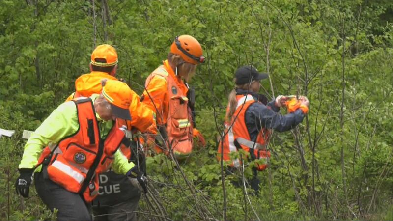 Search and rescue members are pictured in the woods during the search for Lilly and Jack Sullivan in Lansdowne Station, N.S.