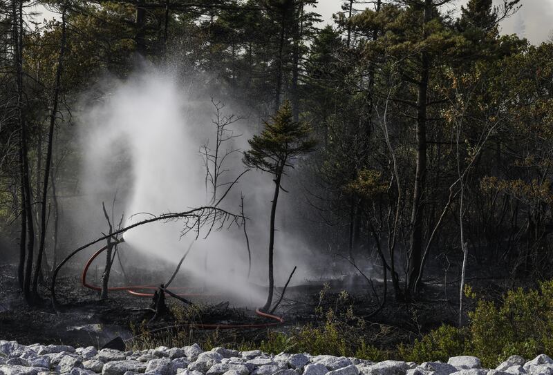 Firefighters work on the ground at the Susies Lake wildfire in Halifax on Aug. 12, 2025. (Source: Province of Nova Scotia)