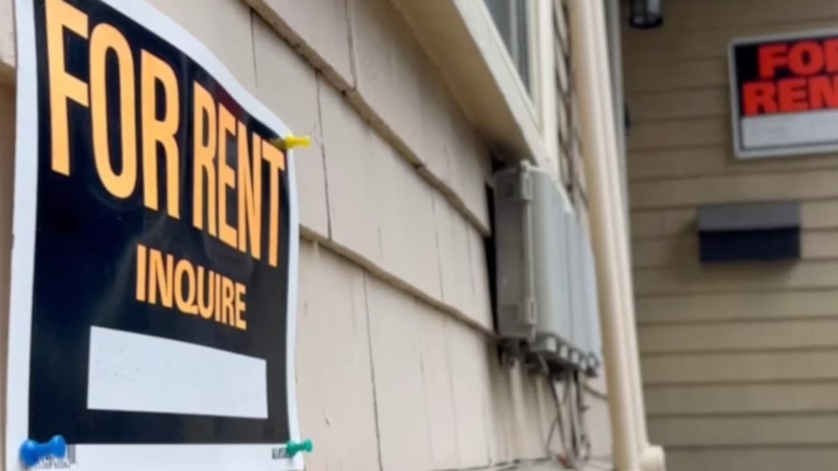 A file photo of ‘For Rent’ signs. (CTV News)
