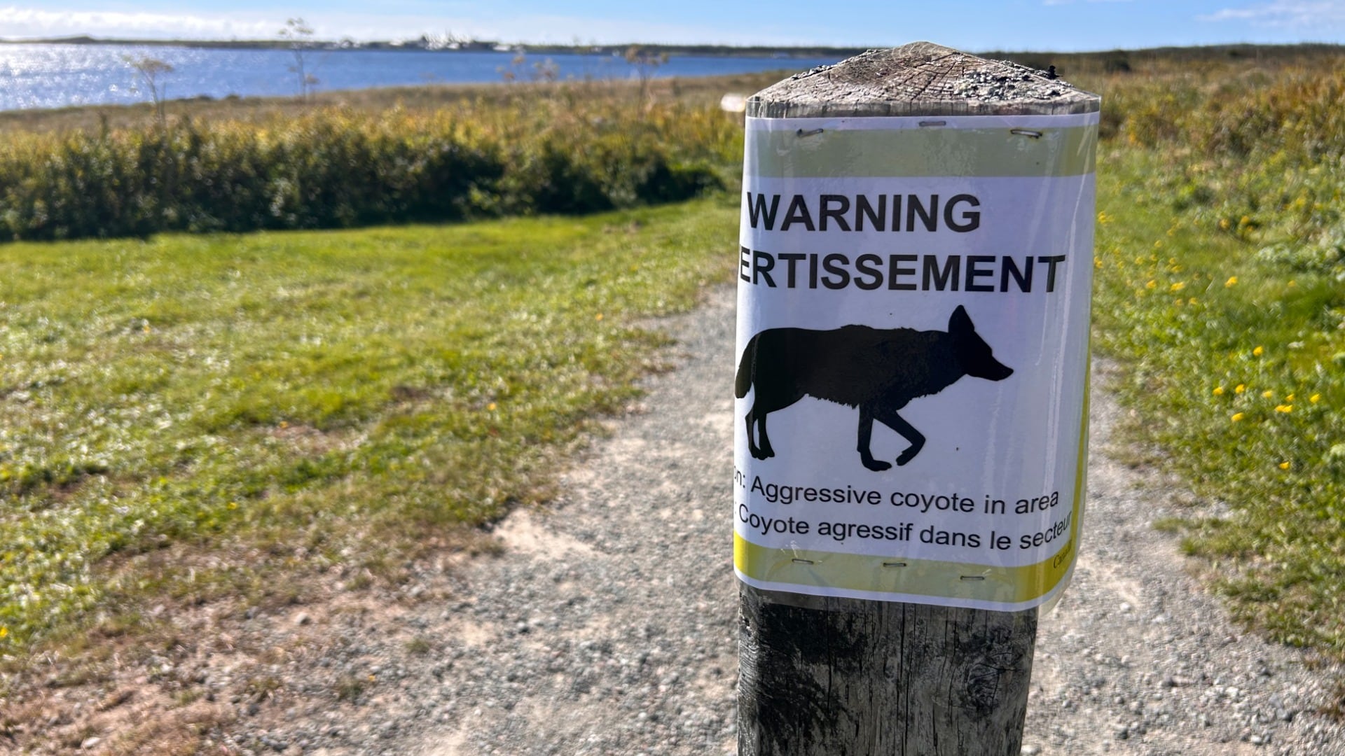 A sign warning of aggressive coyotes is pictured.