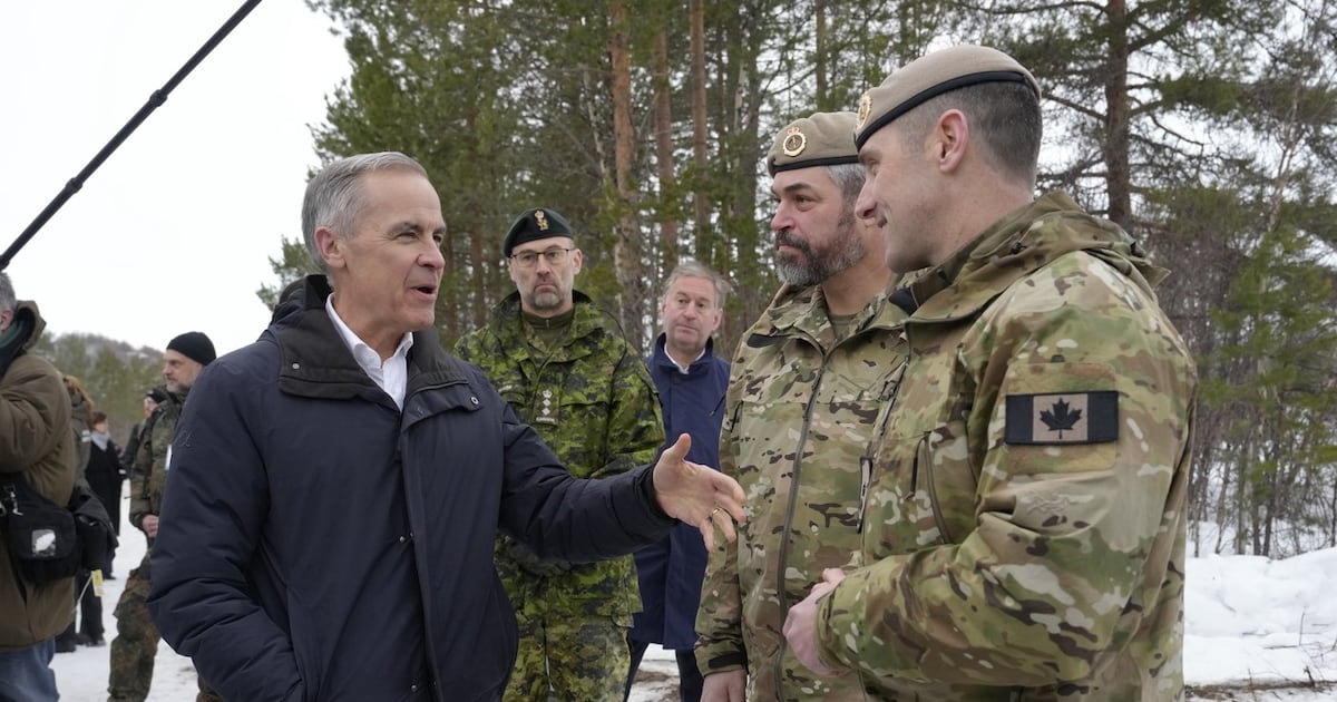 Audit finds issues in procurement system