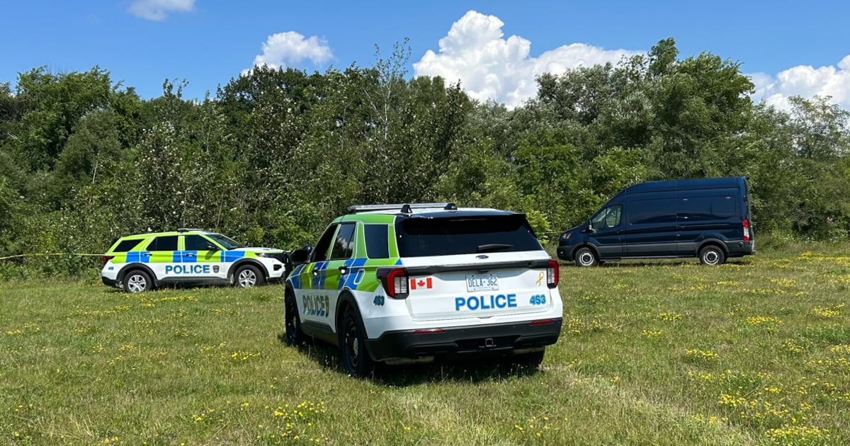 More human remains found near former Barrie, Ont., homeless encampment site