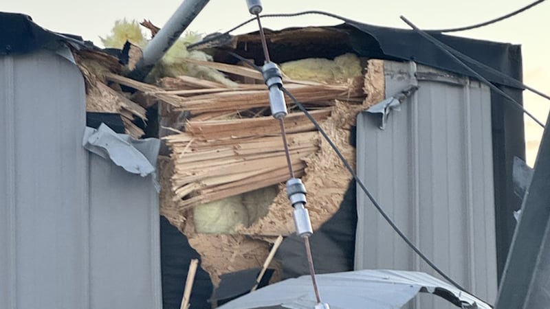 The Telus tower near Daysland, Alta. was vandalised on Dec. 21, 2025. (Source: Telus)