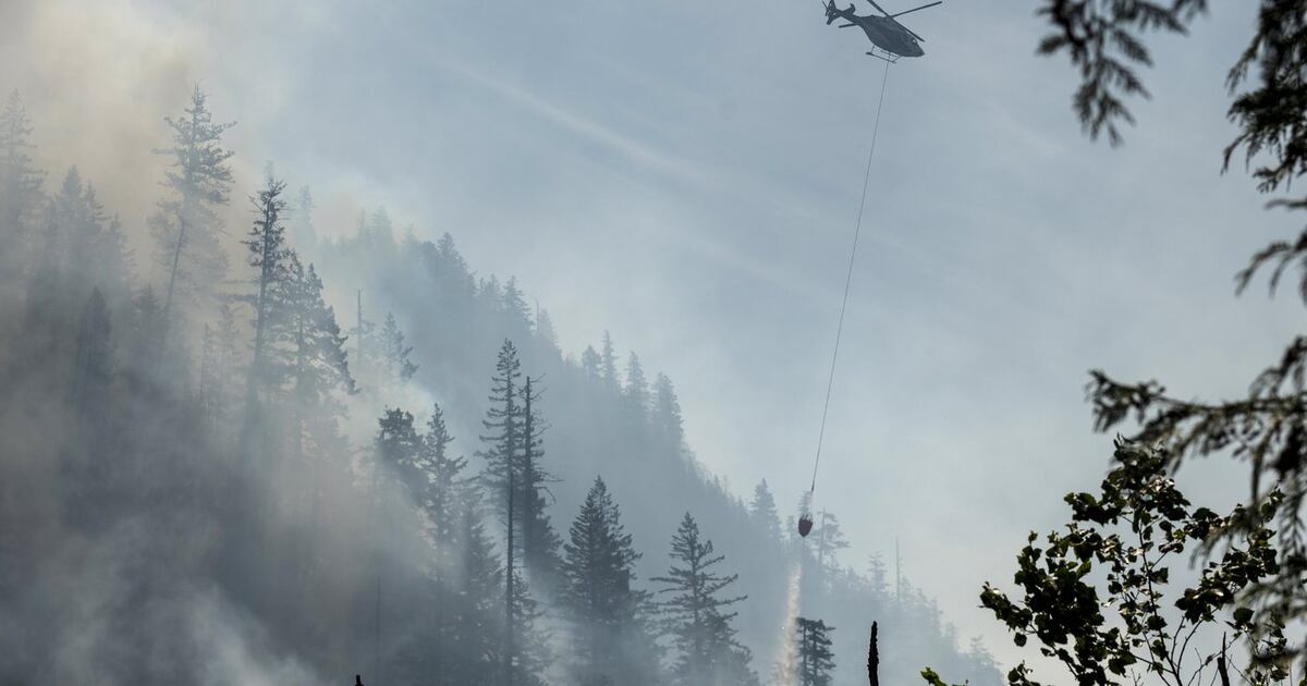 Die Waldbrandsaison 2025 wird voraussichtlich die zweitschlimmste in ...