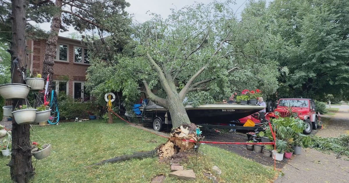 Thunderstorms Strike the Greater Toronto Area: A Day of Rain, Wind, and Hazy Hail