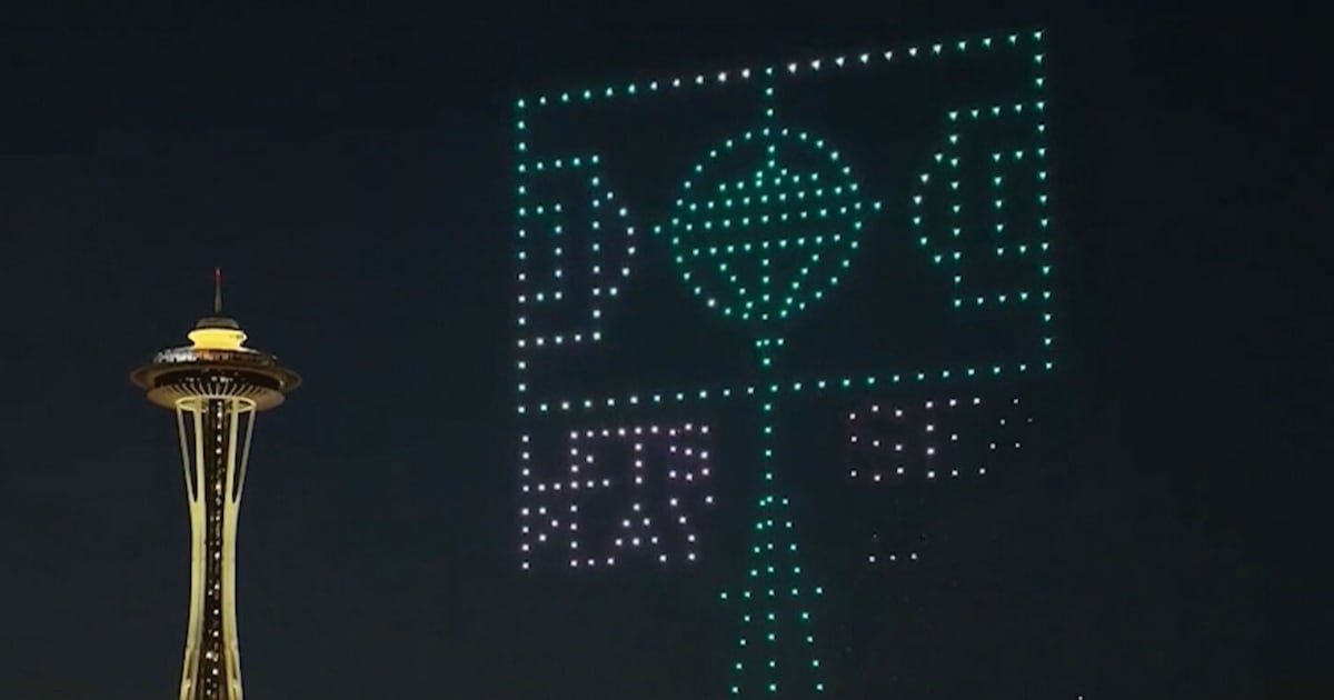Agencies have seized more than 600 drones near World Cup sites