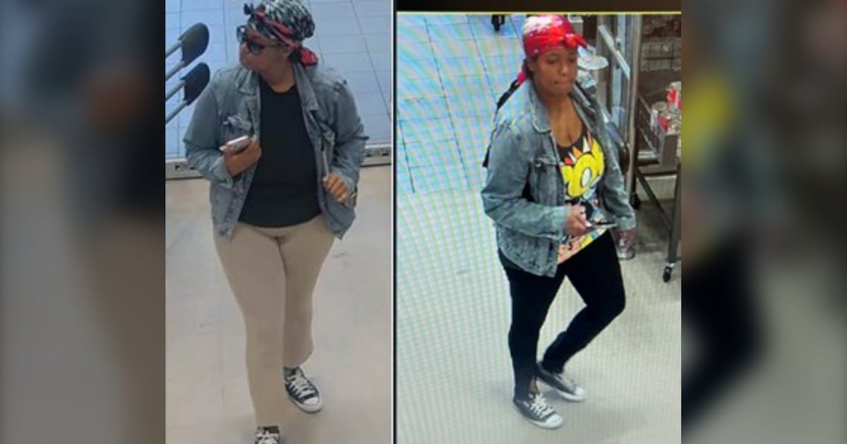Woman charged after allegedly stealing handbags, purses from seniors in North York