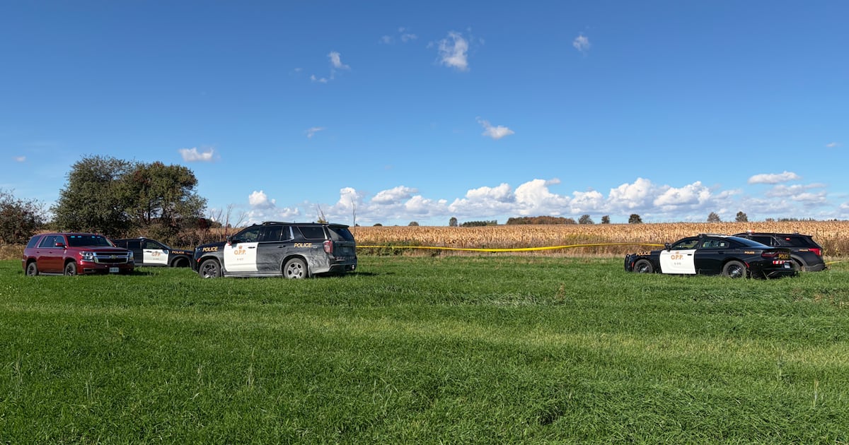 Small aircraft crashes near Fergus, Ontario, catching fire