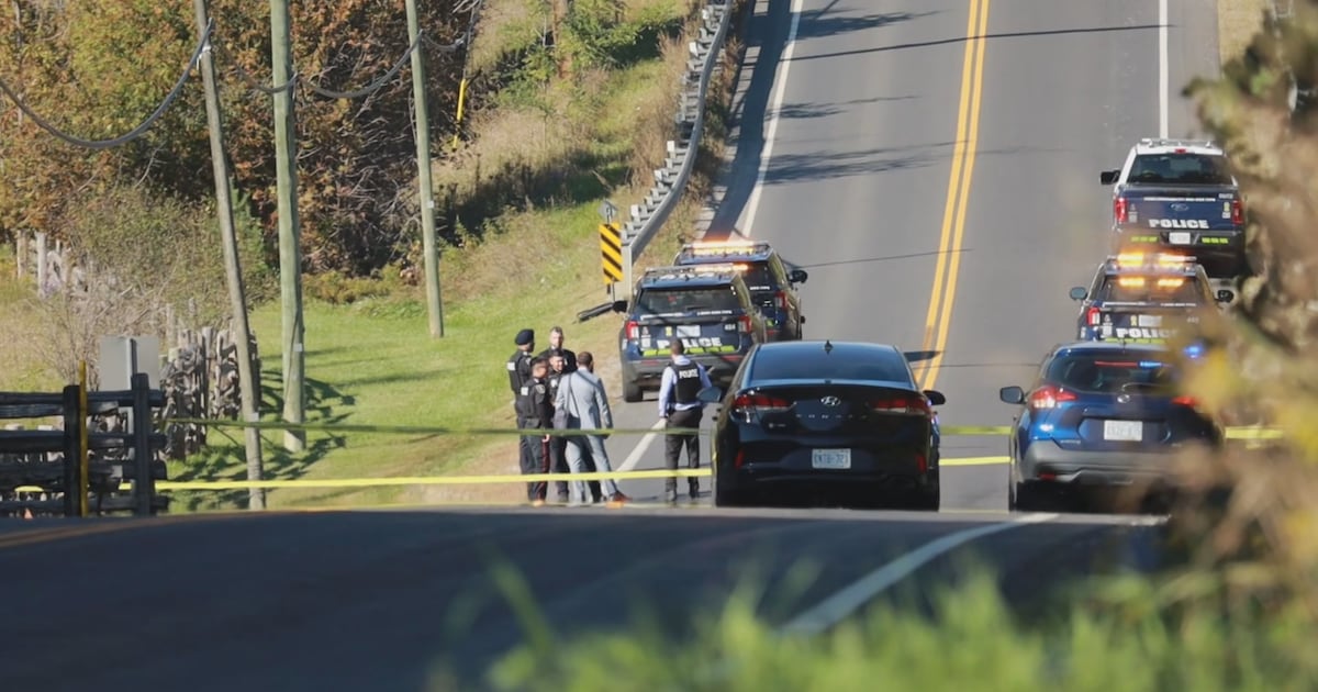 Woman killed in Vaughan hit-and-run, police seek witnesses