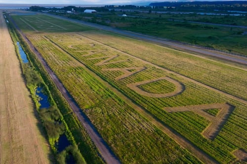 Vancouver airport workers cut welcome message for Team Canada in YVR grass