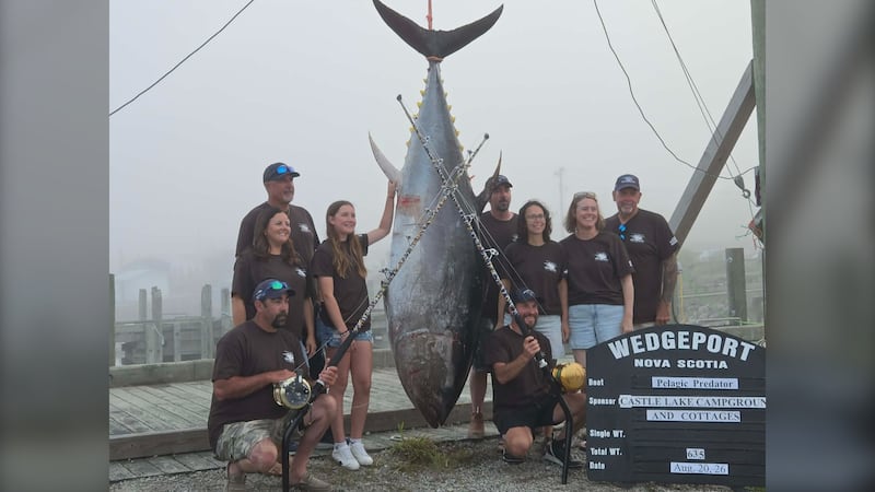 Délynn Jacquard is seen with the 711-pound tuna. (Courtesy: Kerry Munro Muise)