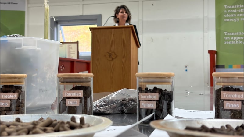 Torrefied wood is pictured on a table during a NB Power announcement on Sept. 17, 2026. (Anna Mandin/CTV Atlantic)