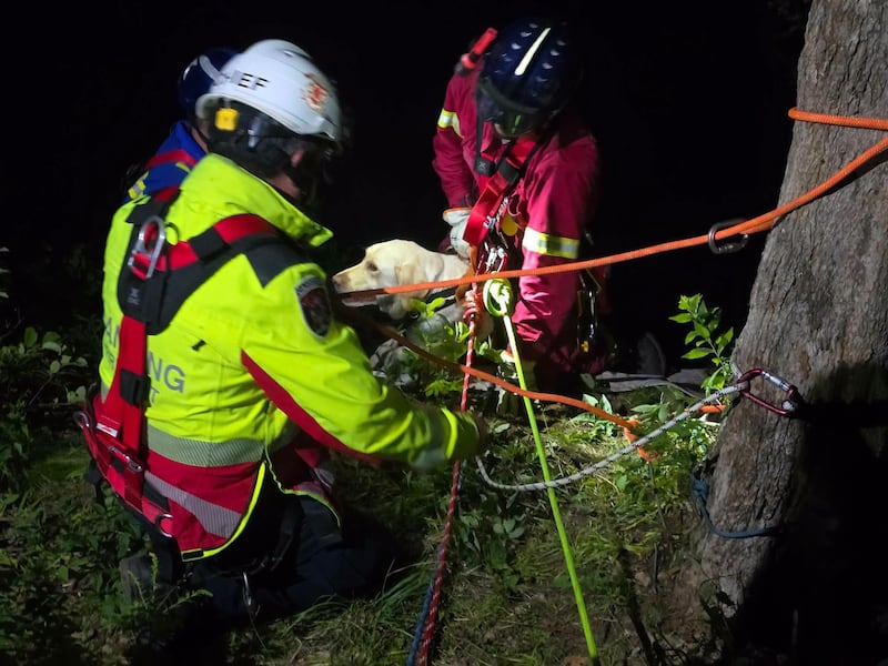 Members of the Kings County Rope Rescue Team attach Reese to a special harness before he's lifted back to the top of the cliff. (Canning and District Volunteer Fire Department/Facebook)