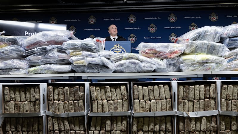 Are drug cartels operating in Toronto? This is what we know