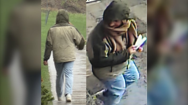 Police searching for suspect who allegedly tried to enter Thornhill synagogue, assaulted person nearby