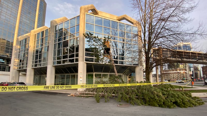 A building is seen with police tape surrounding it with a tree crashed into the front.