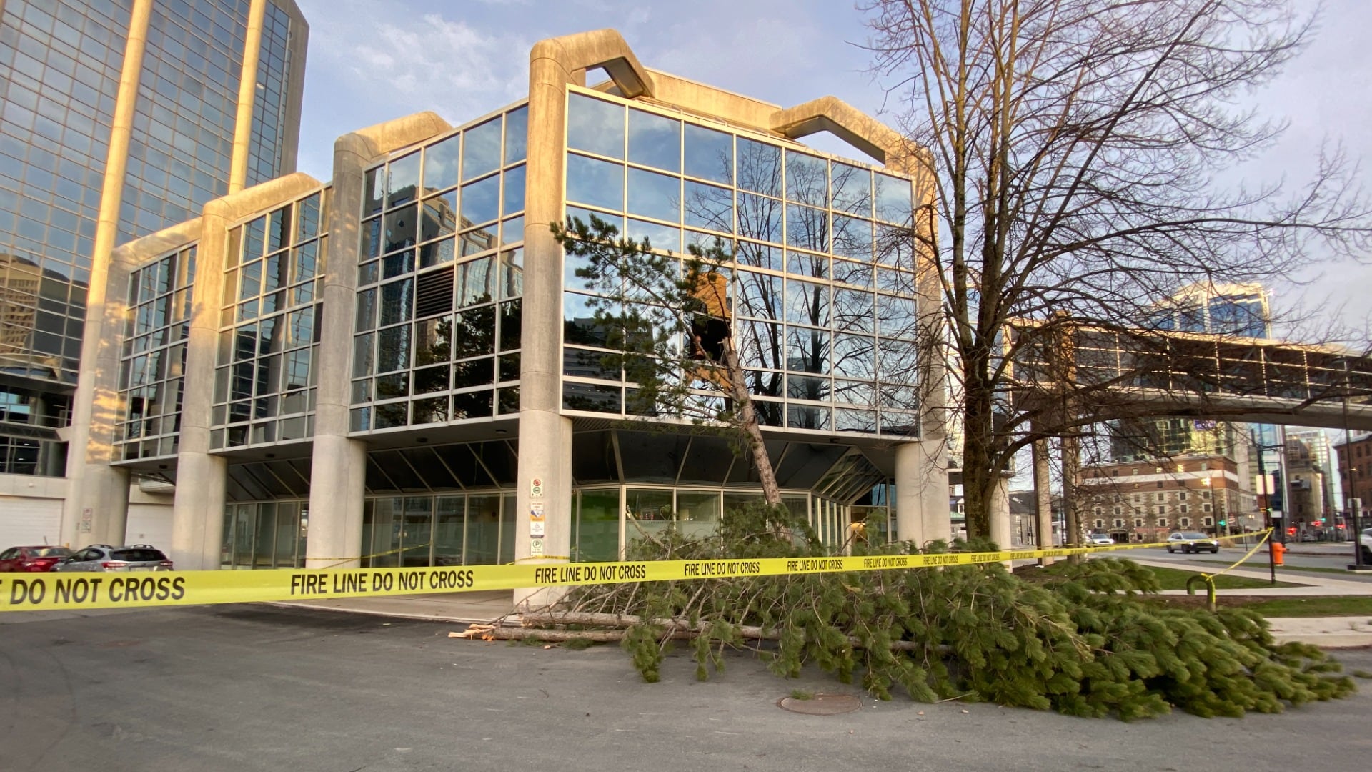 A building is seen with police tape surrounding it with a tree crashed into the front.
