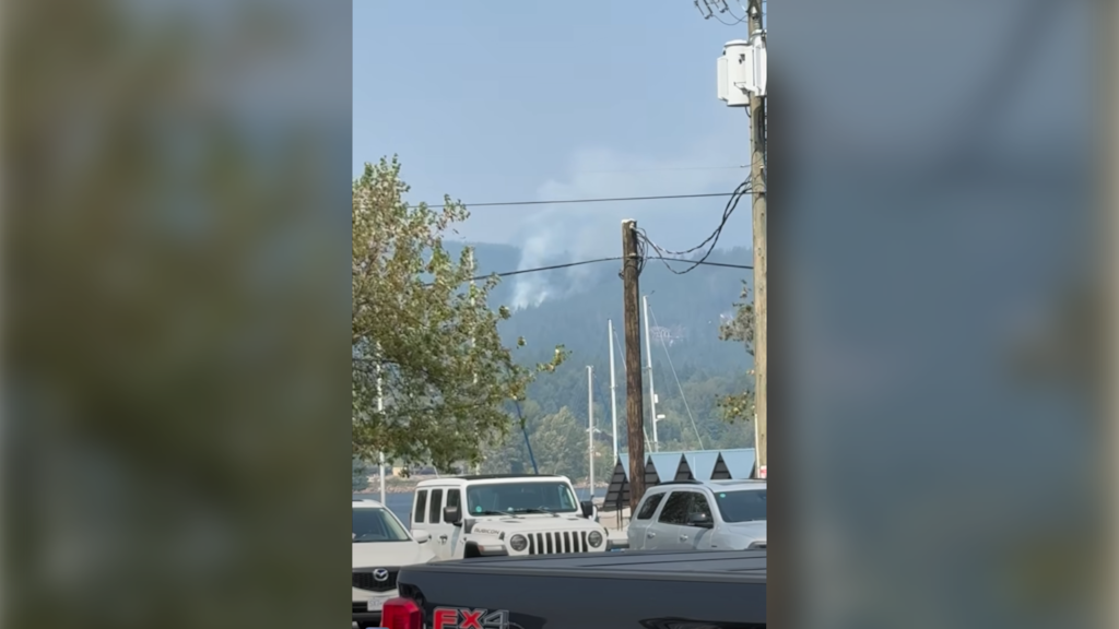 2 homes evacuated, others on alert as wildfire burns in Metro Vancouver park