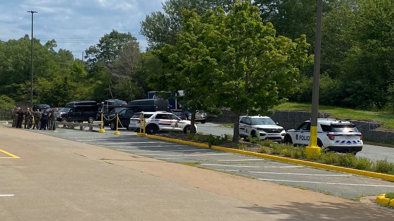 A large police presence is seen behind the Sunnyside Mall in Bedford. (CTV/Valentine Nkengbeza)