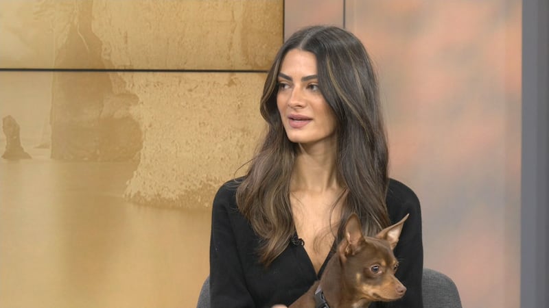 Daniela Arreola Gala and Fig are pictured at the CTV Your Morning Atlantic studio on Oct. 23, 2026.